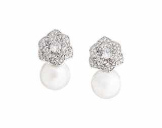 ER191 Earrings #1