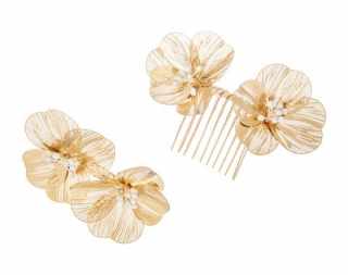 HC0463 Hair comb and Hairclips #1