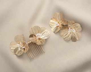 HC0463 Hair comb and Hairclips #2