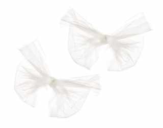 SC1001 Shoe clips #1