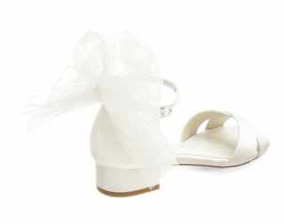 SC1001 Shoe clips #2