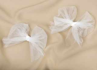 SC1001 Shoe clips #5