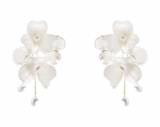 ER1011 Earrings #1