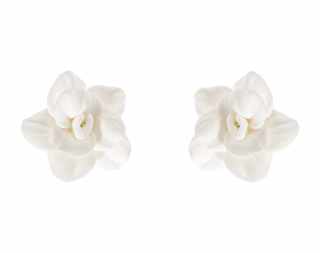 ER251020 Earrings #1