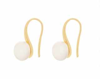 ER1040 Earrings #1