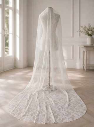 GW-VL006 Veil #1