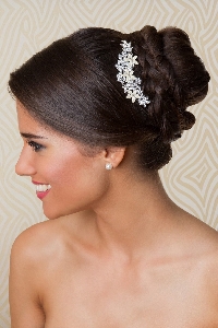FS6006 Hair comb #2